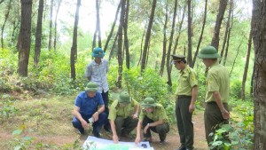 Tuyên Hóa: Làm tốt công tác phòng cháy, chữa cháy rừng trong mùa khô