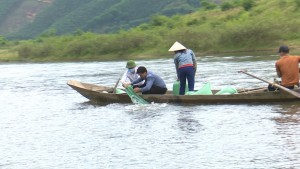 Huyện Tuyên Hóa thả trên 45.000 con cá giống tái tạo nguồn lợi thủy sản