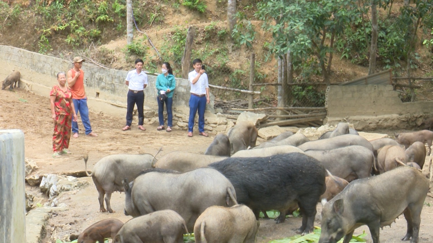 Tấm gương cựu giáo chức làm kinh tế giỏi