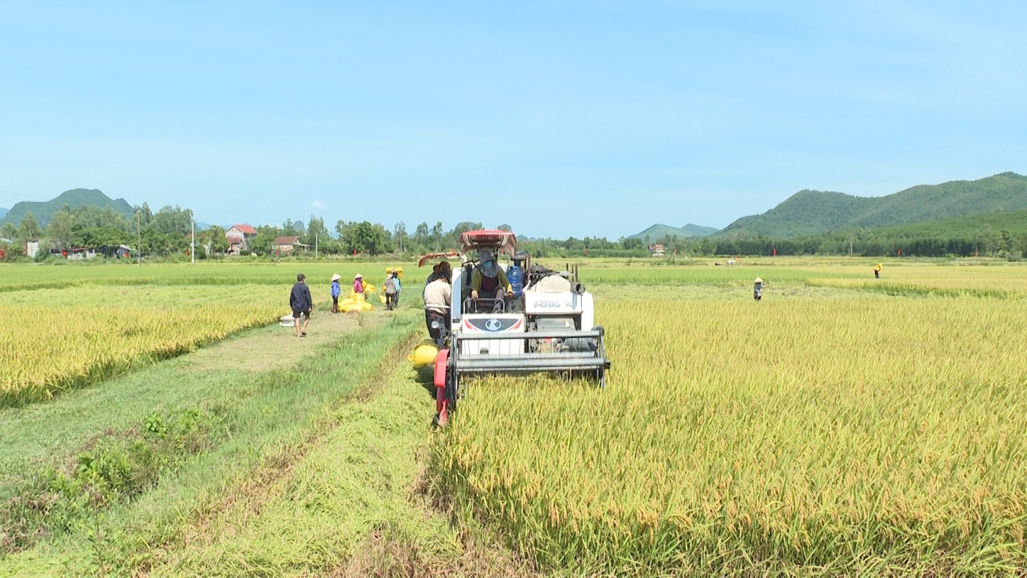 Tuyên Hóa: Vụ hè thu năm 2021 được mùa toàn diện