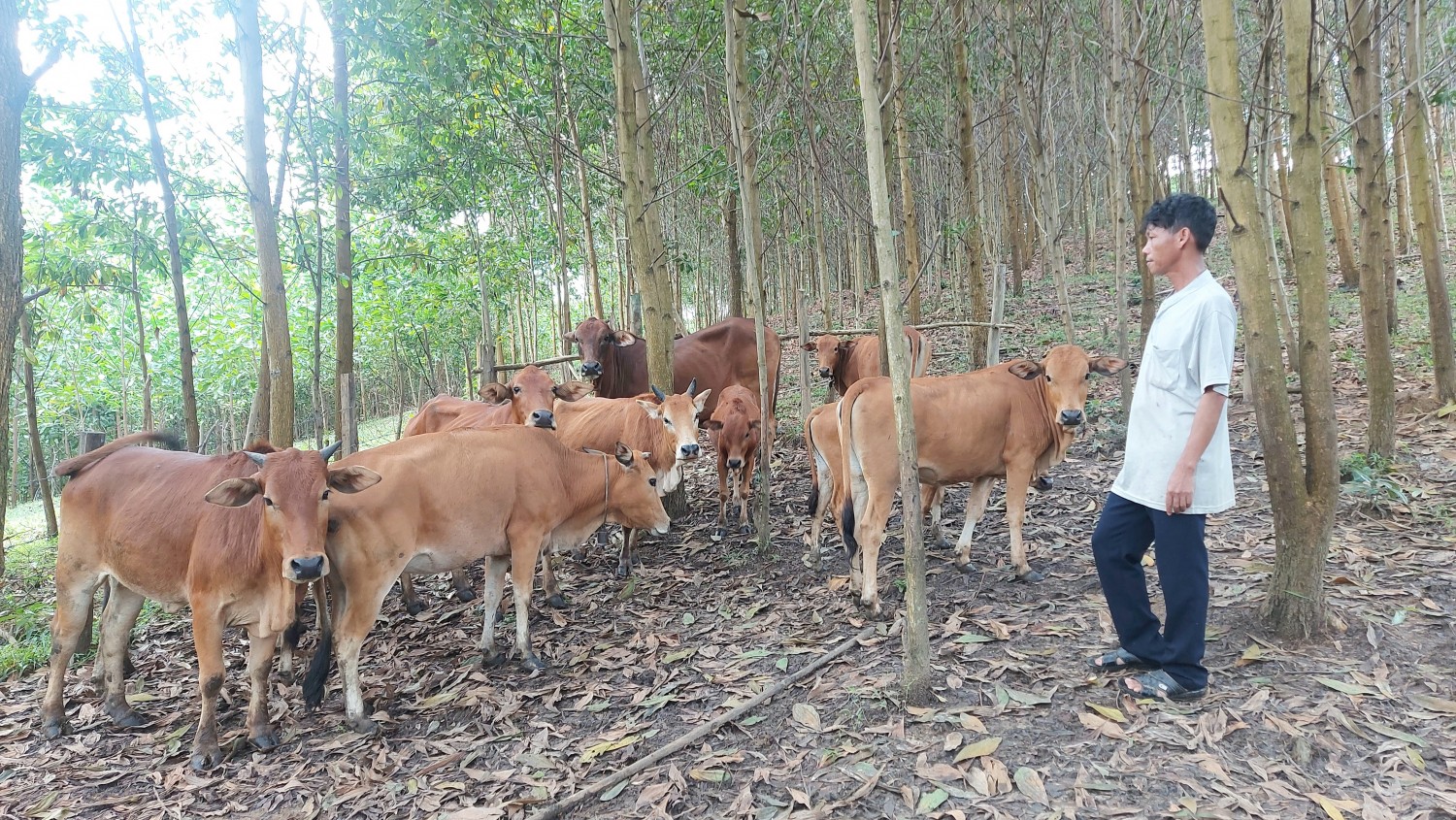 Hồ Phình nêu gương ở bản Kè