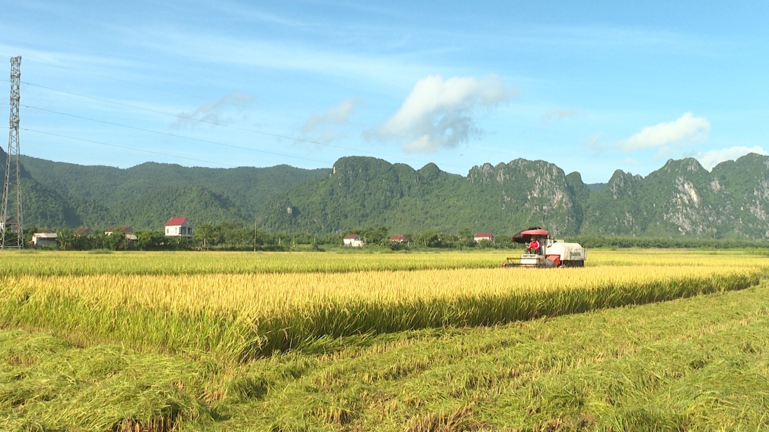 Nông dân Tuyên Hóa tích cực thu hoạch lúa vụ Hè thu năm 2022