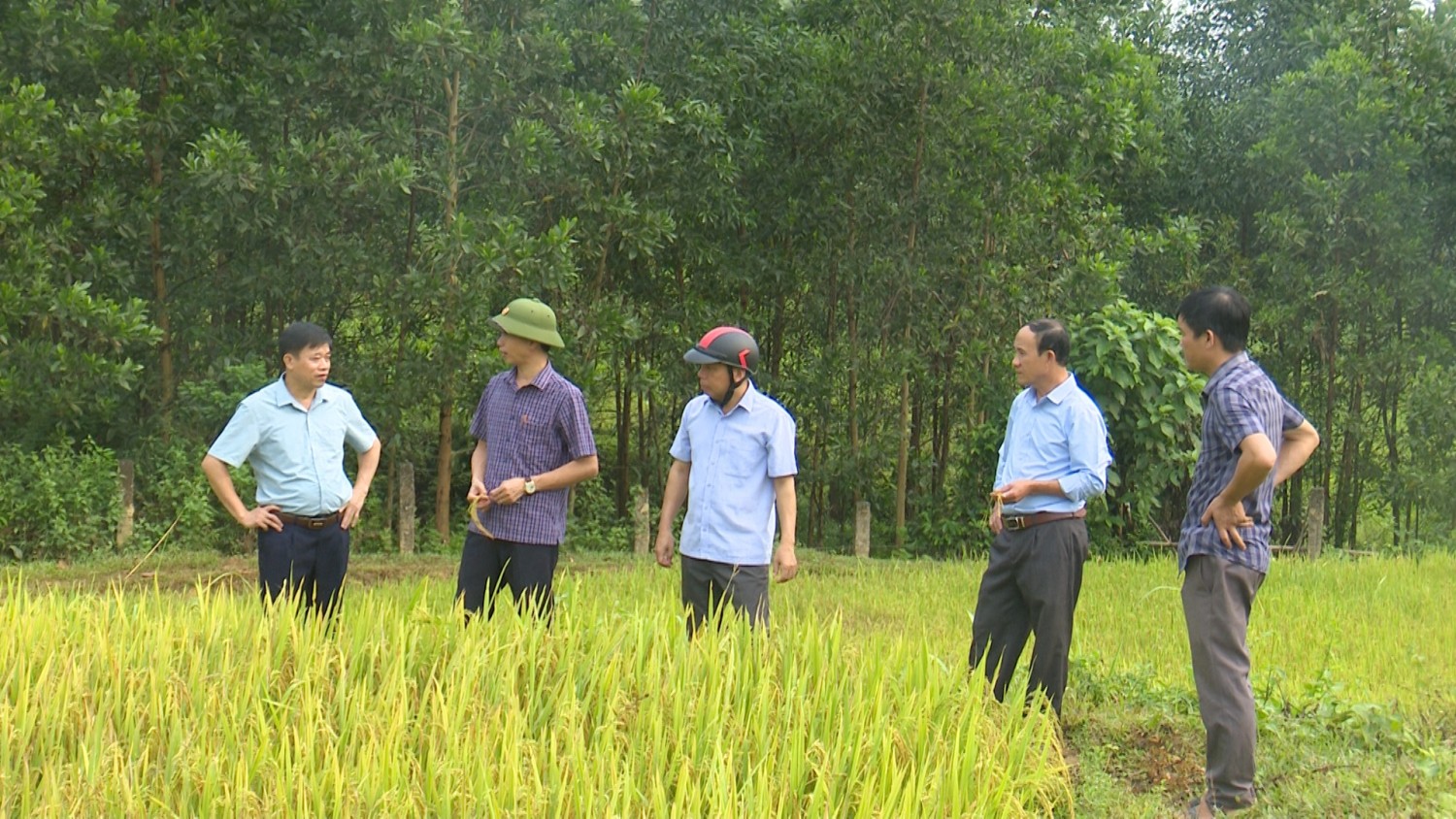 Thăm đồng, đánh giá diện tích lúa vùng đồng bào dân tộc