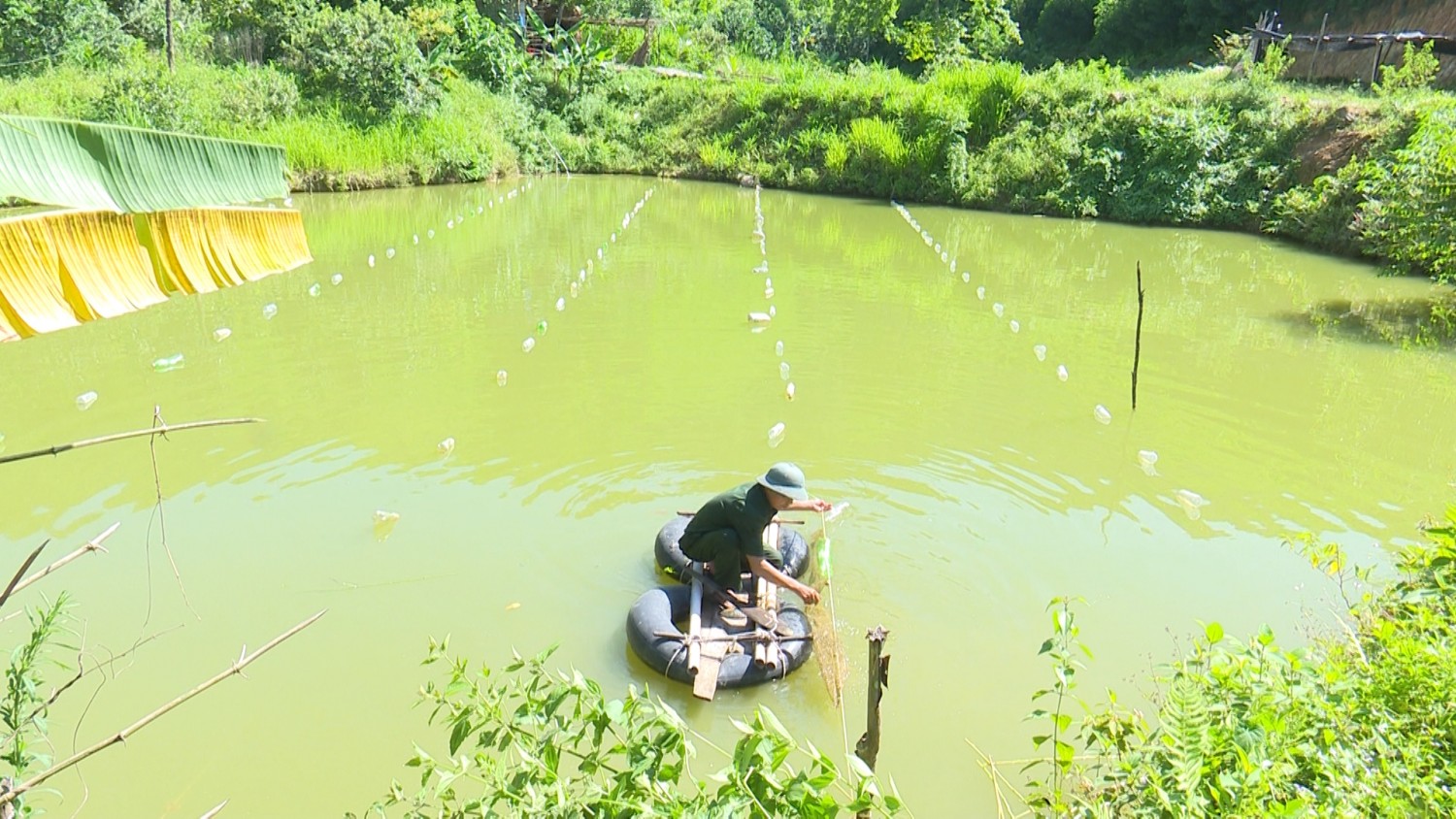 Lão nông biến đồi hoang thành trang trại tổng hợp