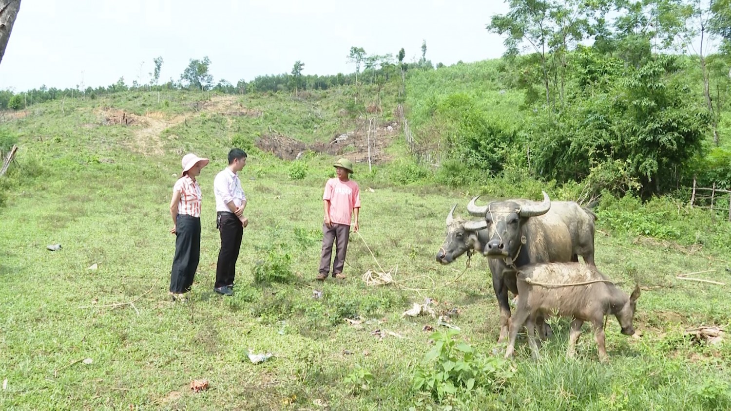 Tuyên Hóa có trên 4800 hội viên nông dân được tiếp cận vốn vay ưu đãi từ Ngân hàng Chính sách