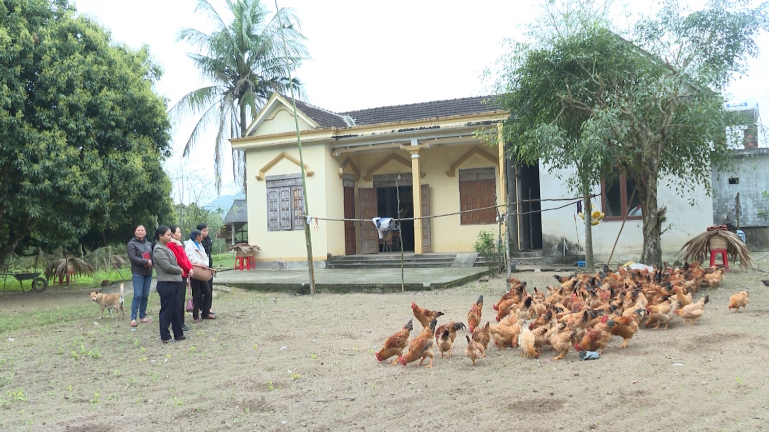 Phụ nữ Tuyên Hóa nỗ lực giúp nhau phát triển kinh tế, xóa đói giảm nghèo