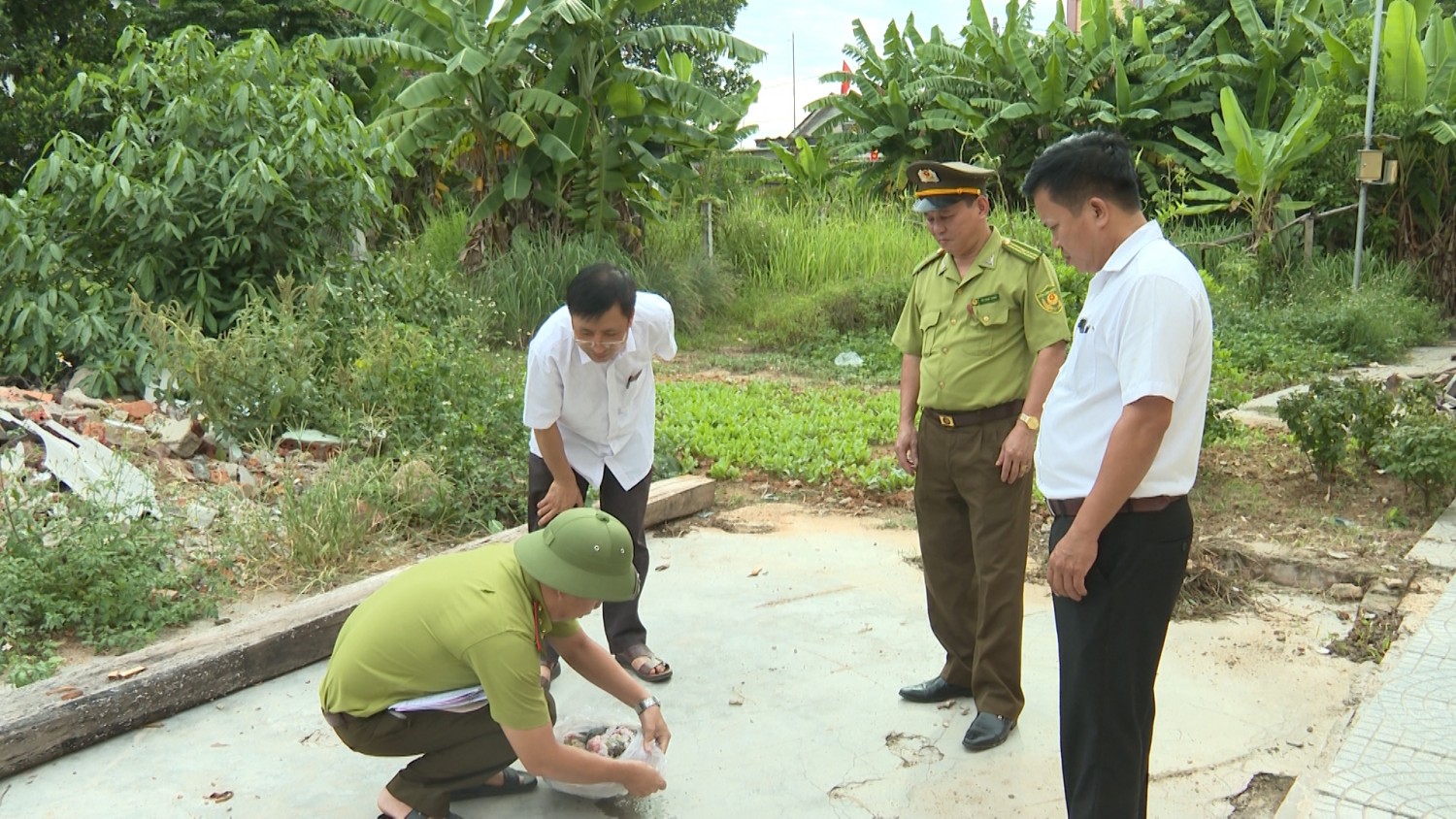 Tuyên Hoá: Tiêu hủy cá thể động vật rừng nguy cấp, quý hiếm thuộc nhóm IIB