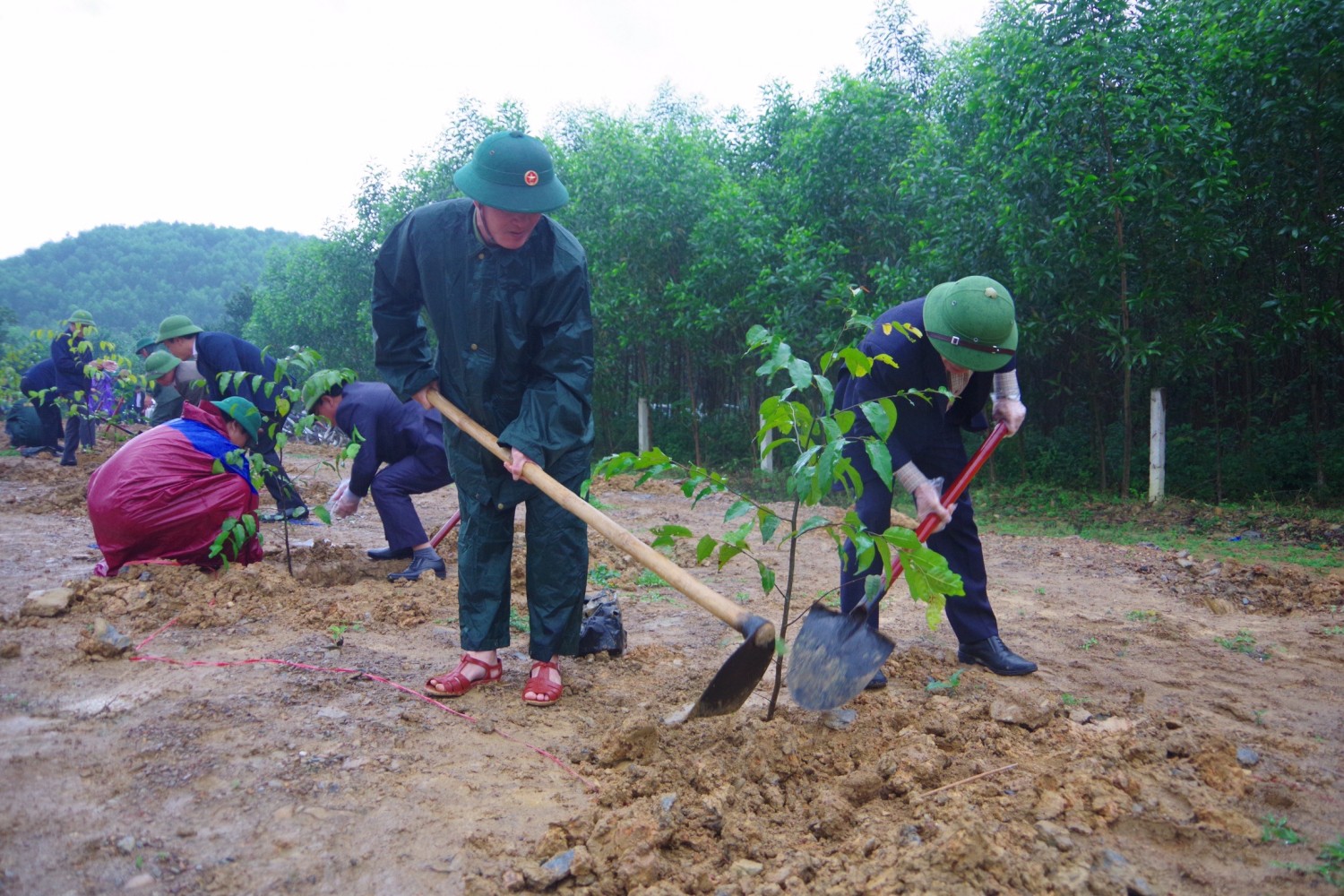 Tuyên Hóa: Phát động "Tết trồng cây đời đời nhớ ơn Bác Hồ" xuân Quý Mão năm 2023