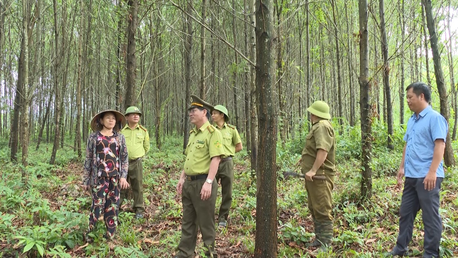 “Nâng cao giá trị rừng trồng gắn với bảo vệ và phát triển rừng bền vững”