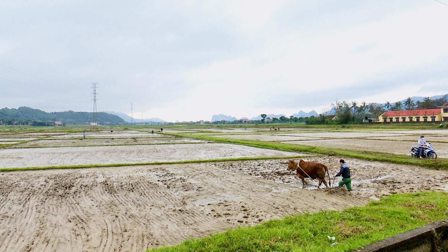 Tuyên Hóa: Đẩy nhanh tiến độ gieo cấy lúa vụ Đông xuân